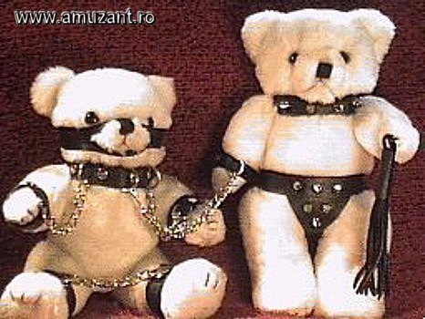 944377cuddly-bears - poze