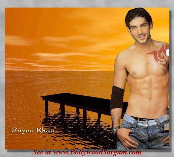 Zayed_Khan_01515_40_02 - Zayed Khan