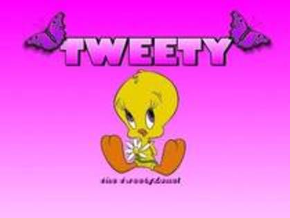 17290741_KKFFJUZJZ - xXX tweety XXx