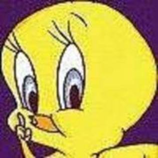 17290744_SVHOQHMYH - xXX tweety XXx