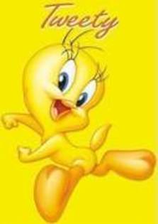 17290749_VSDNKZUZQ - xXX tweety XXx