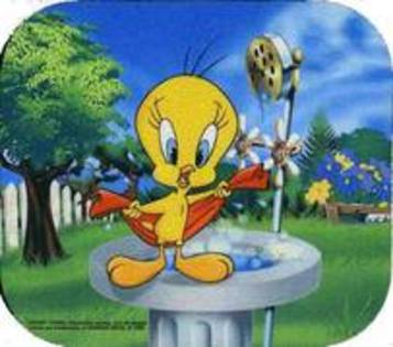 17290750_CLOJDKMRQ - xXX tweety XXx