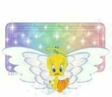 17290763_SEOUKEGVT - xXX tweety XXx