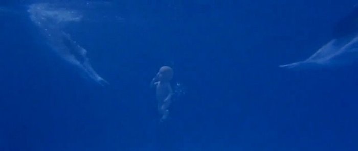 Title Song - Tees Maar Khan -749