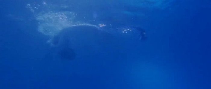 Title Song - Tees Maar Khan -776