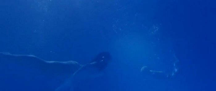 Title Song - Tees Maar Khan -779