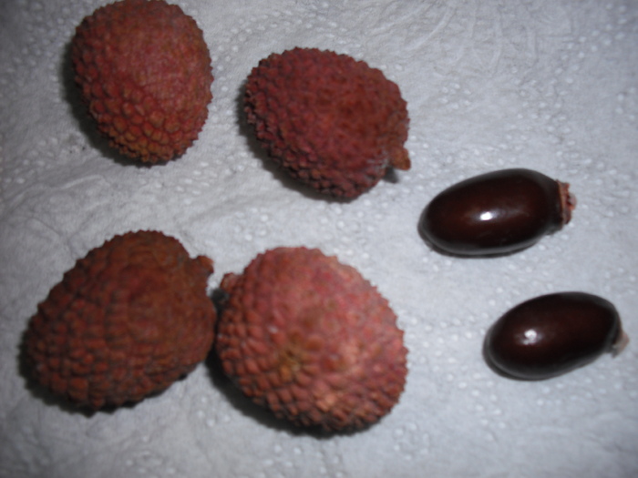 fructe litchi si simburi - Experimente