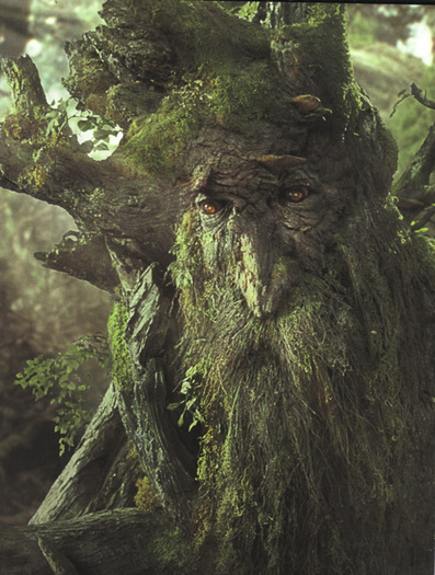 Tree-beard