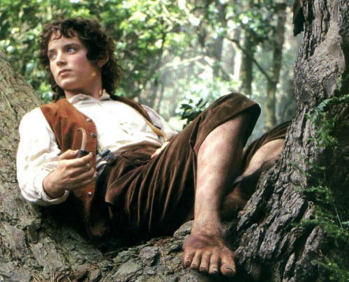 bcb128e65a5frodo.jpg - The lord of the rings-Stapanul inelelor