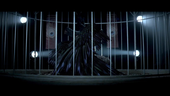 Miley Cyrus - Can\'t Be Tamed 0240