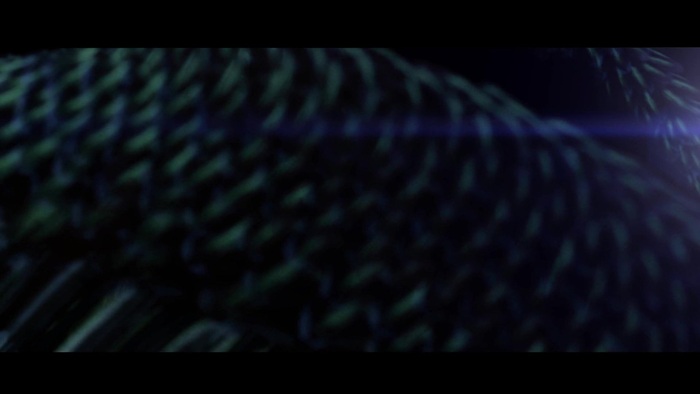Miley Cyrus - Can\'t Be Tamed 0244