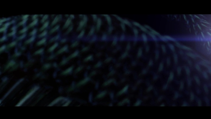 Miley Cyrus - Can\'t Be Tamed 0245