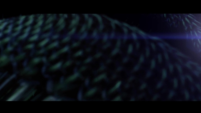 Miley Cyrus - Can\'t Be Tamed 0247