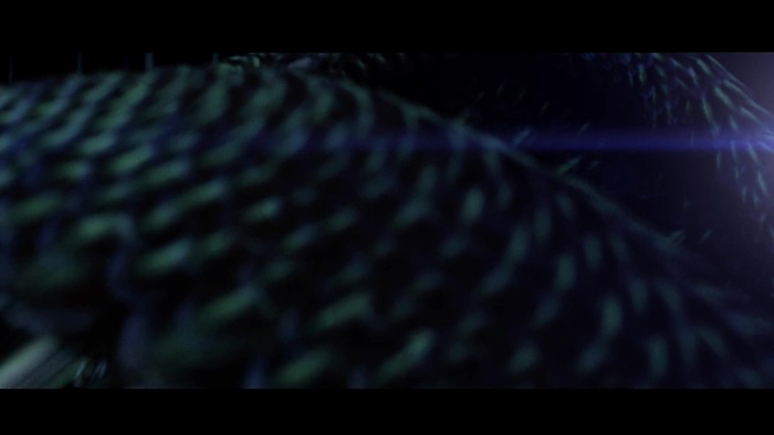 Miley Cyrus - Can\'t Be Tamed 0249