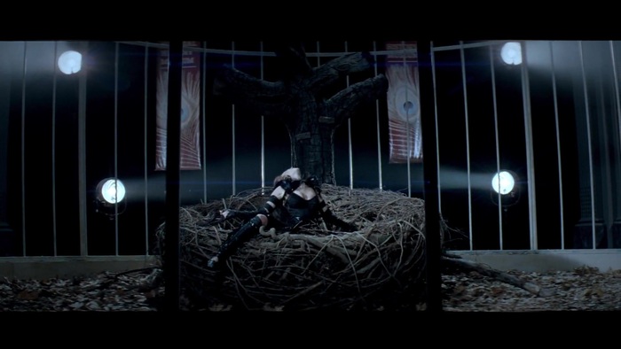 Miley Cyrus - Can\'t Be Tamed 0588