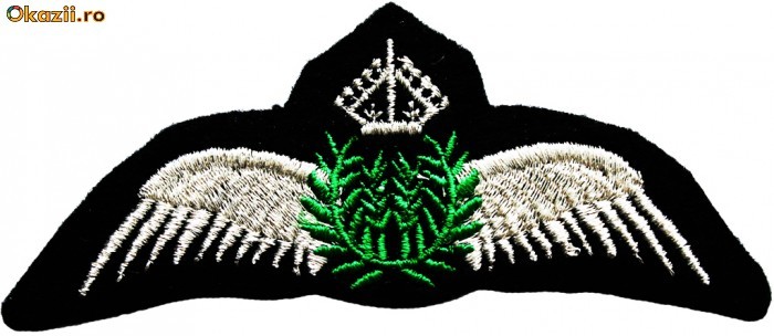 247740970-5597152-700_700