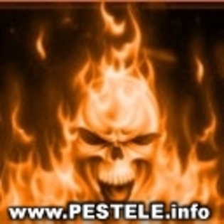 avatare poze flacari moldovean in flacari cu flacari text flacari george calinescu in flacari canta  - diverse