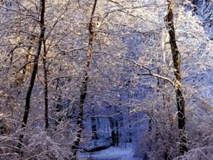 c2a567f0a669 - diverse