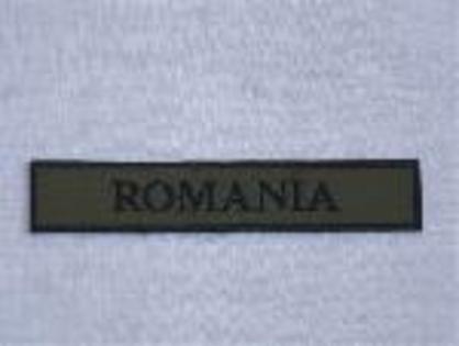 emblema-piept-romania-2496t - diverse