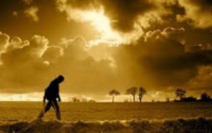 golden-sky-landscape-1024x640 - diverse