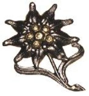 insigne-bereta-edelweiss-1869t - diverse