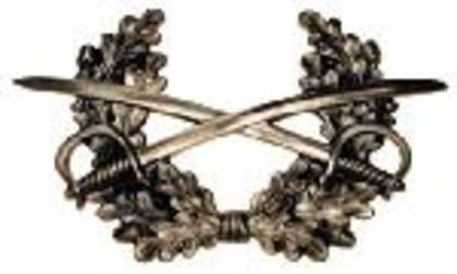 insigne-bereta-heer-1864t - diverse