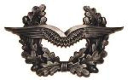insigne-bereta-luftwaffe-1865t - diverse