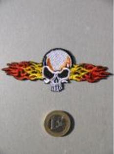 post-7430-1196873351_thumb