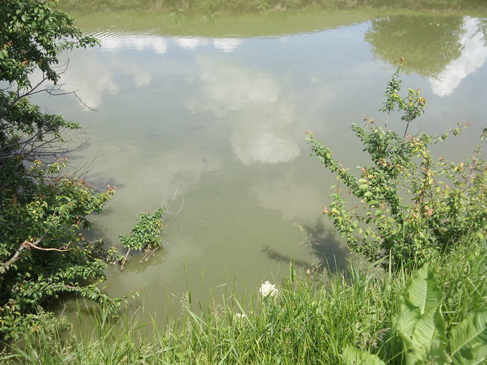 lacul - pentru inceputciteva poze