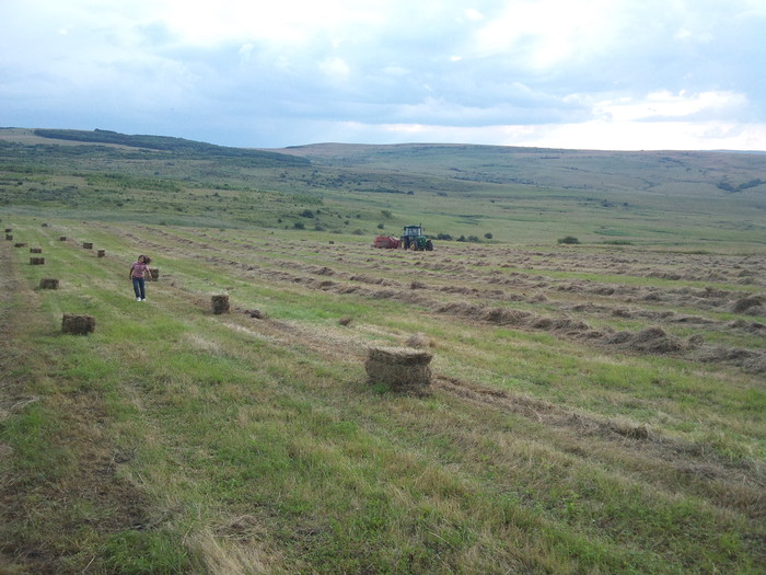 DSC01255; la balotat 1
