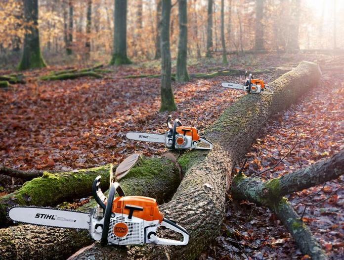 h-stihl-ms261-aw2 - domeniu forestier