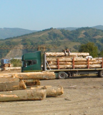 transport - domeniu forestier