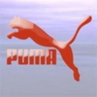 puma - poze avatar