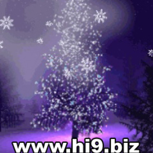 felicitare%20cu%20anul%20nou felicitare%20cu%20anul%20nou