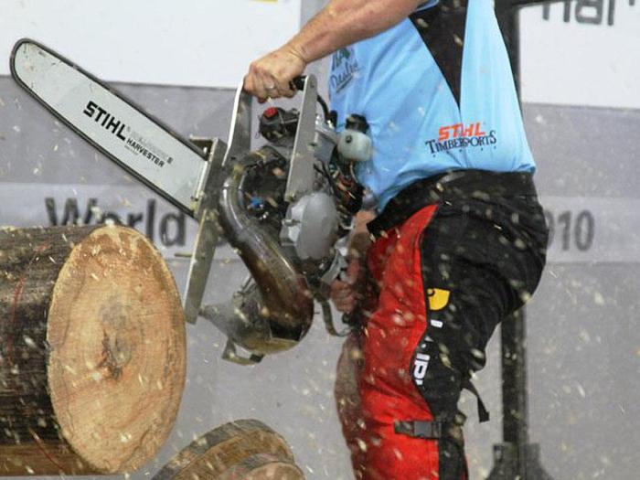 00023810_large - domeniu forestier