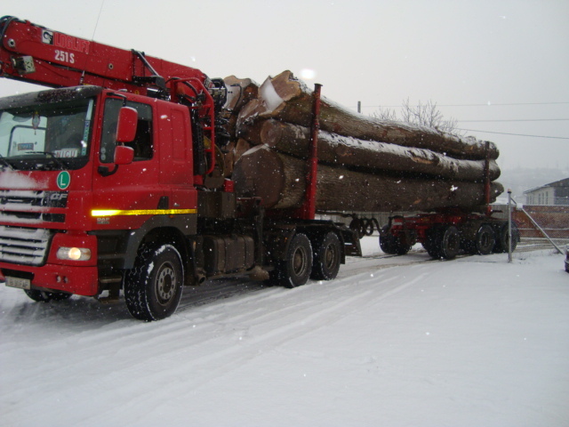113321_1 - domeniu forestier