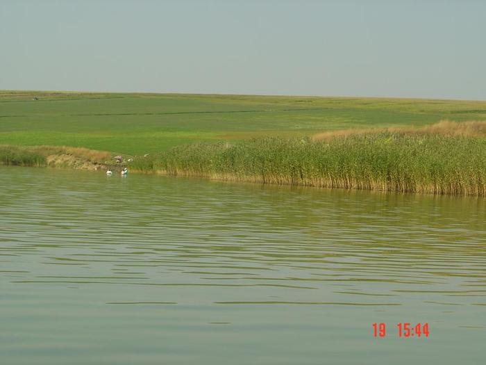 Picture 010 - la pescuit pe hanesti