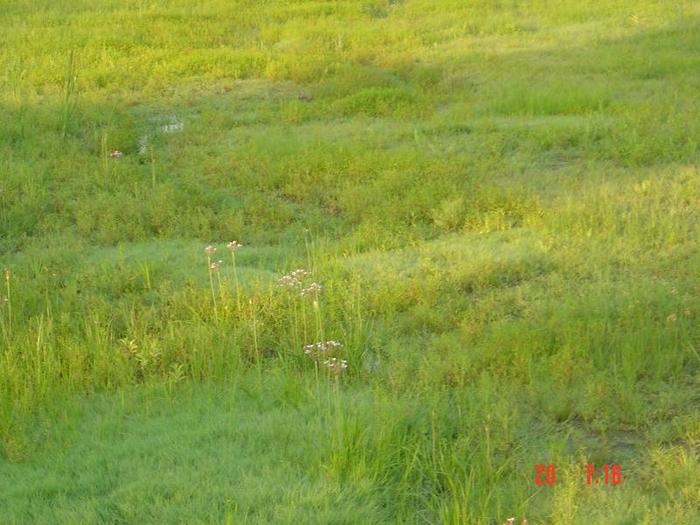 Picture 025 - la pescuit pe hanesti