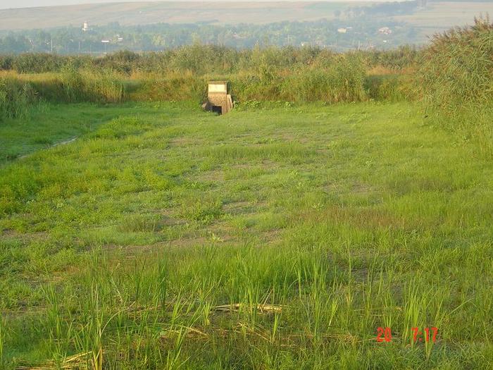 Picture 026 - la pescuit pe hanesti