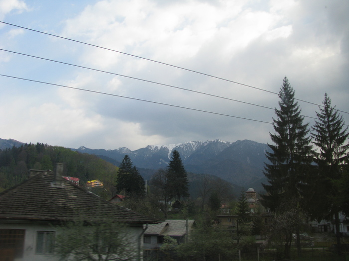 IMG_1091 - calatorie de studii prin apuseni