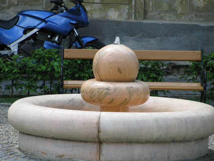 IMG_0764 - calatorie de studii prin apuseni