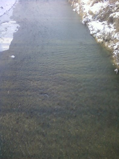 P28-01-11_14.28[3]