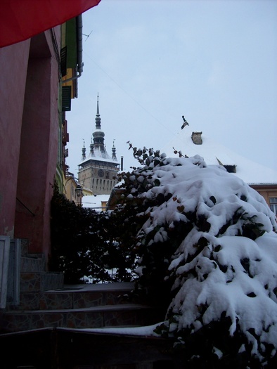 101_2622 - SIGHISOARA  IARNA album 04