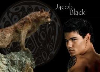 tyi - xXX Jacob Black XXx