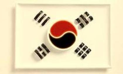 coreea de sud steag - ce alegeti japonia vs coreea de sud-terminat