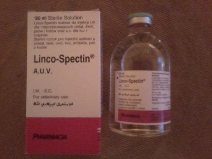 Fotografie0914 - medicamente