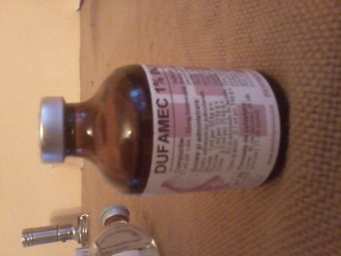 Fotografie0915 - medicamente