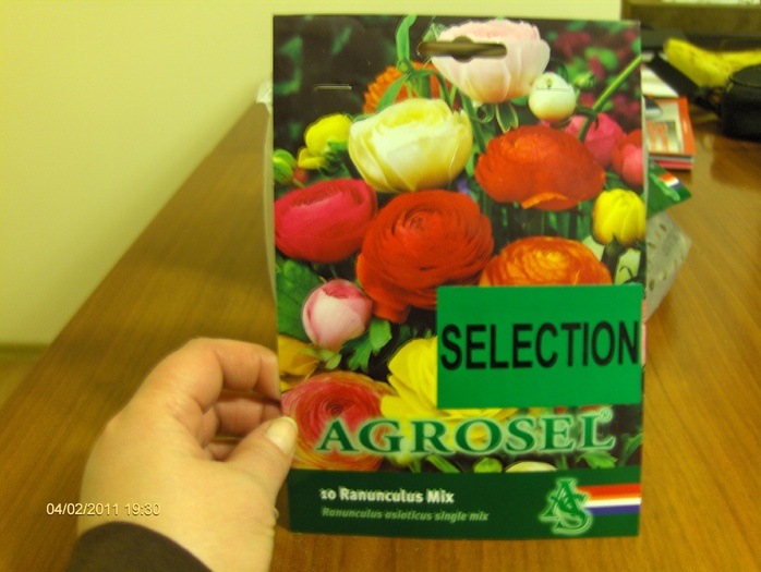 s-au prins , sa vedem floricelele ....care nu au vrut sa iasa... - ACHIZITII 2011