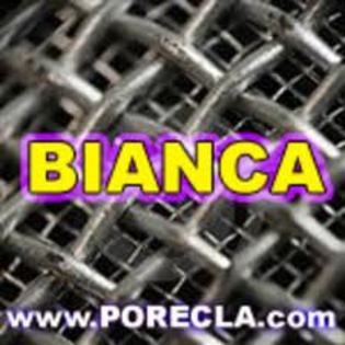 Bianca - Poze cu numele meu si a altor prieteni