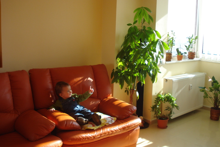 SUNT NR.1:)) - ANDREI